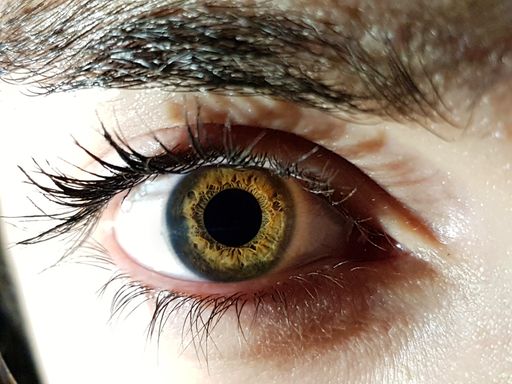 A closeup shot of a female with beautiful green eyes