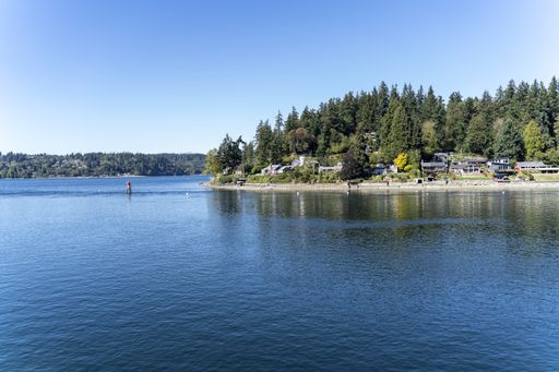 A beautiful view of the lake surrounded by greens and trees under the blue sky in the park