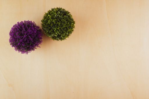 A high angle shot of purple and green plants on a wooden surface