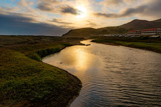 A beautiful shot of a river near grassy shore with buildings in the distance in San Francisco