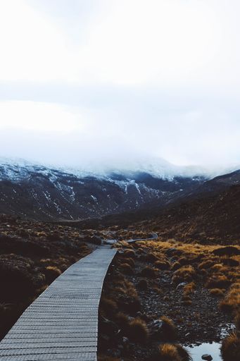 A vertical shot of a wooden pathway with the snow covered mountains in the background