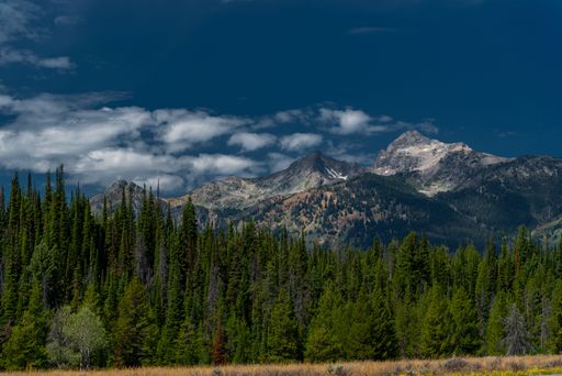 The Grand Teton National Park landscape with trees and high hills against the blue sky in Wyoming