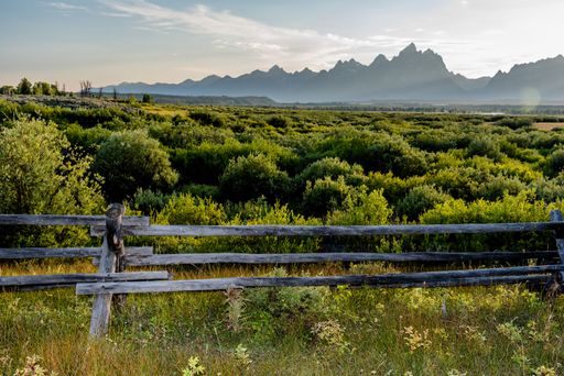 A wooden fence with lush green forests in the background in Grand Teton national park, Wyoming