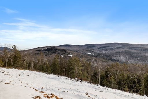 A winter trees in a snowy landscape with a mountain in the background under blue cloudy sky