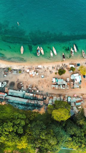 An aerial view of a fish market in the beach