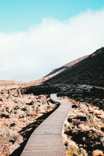A vertical shot of a boardwalk in the mountains under the cloudy sky