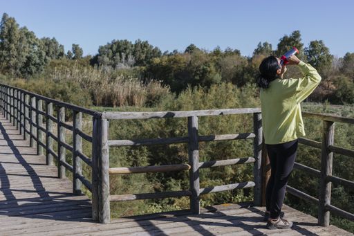 A young woman drinking coffee from her thermal bottle standing on a wooden bridge in a park