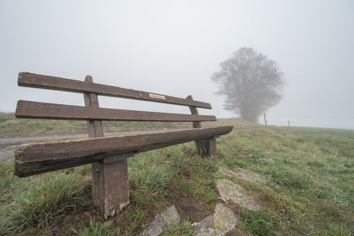 A beautiful view of a wooden bench on a foggy hill covered with grass