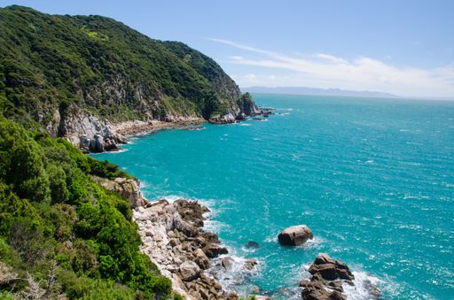 A high angle shot of the blue sea from the Abel Tasman Track, New Zealand