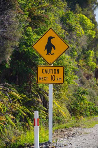 A vertical shot of a yellow caution sign with penguin in New Zealand