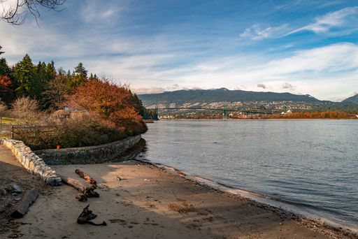 A beautiful shot of the shore of the lake in the Stanley Park in Vancouver, Canada