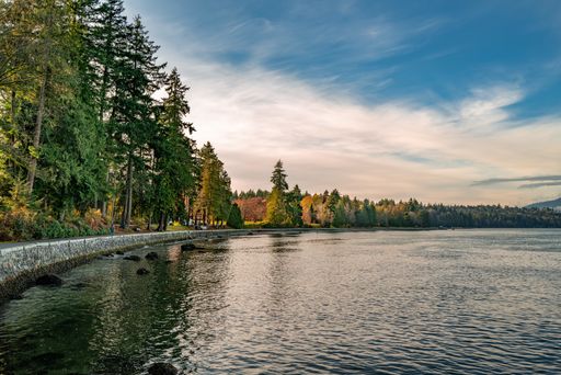 A breathtaking shot of the lake in the Stanley Park in Vancouver on a sunny autumn day