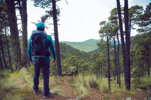A back view of a male hiker with a backpack standing and enjoying beautiful forested mountains in front