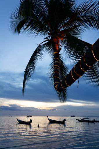 A vertical shot of the small boats in the sea captured on a calm day from a beach with palm trees