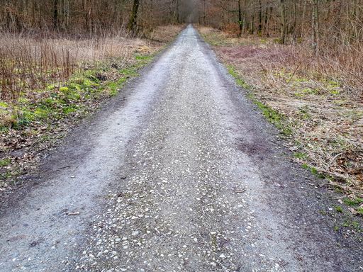 A high angle shot of a road in an autumnal forest