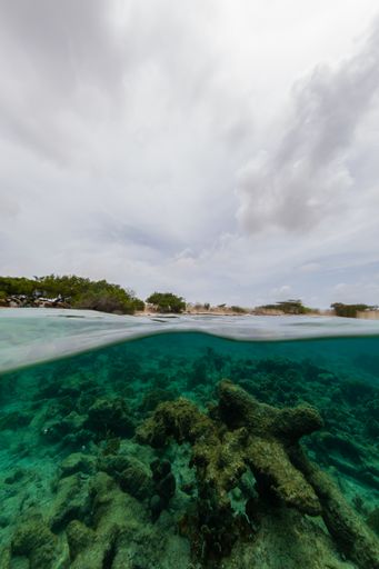 A vertical low angle shot of the ocean in Bonaire, Caribbean