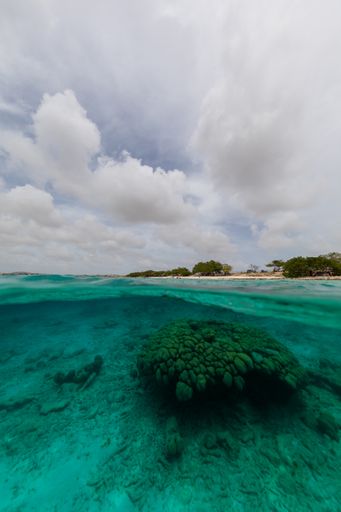 A vertical low angle shot of the ocean in Bonaire, Caribbean