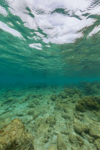 A vertical shot of the underwater ocean world getting in touch with the sky in  Bonaire, Caribbean
