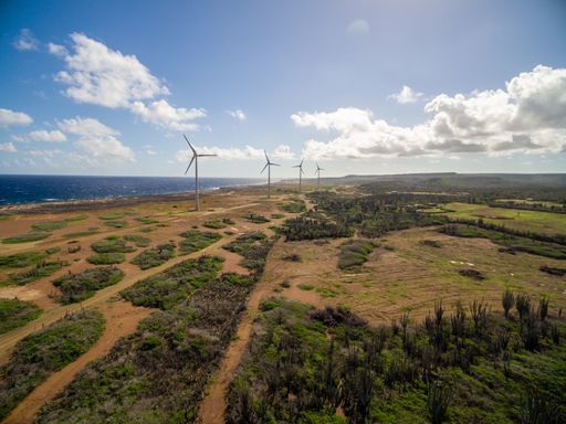 A high angle shot of the beautiful ocean surrounded by green scenery in Bonaire, Caribbean
