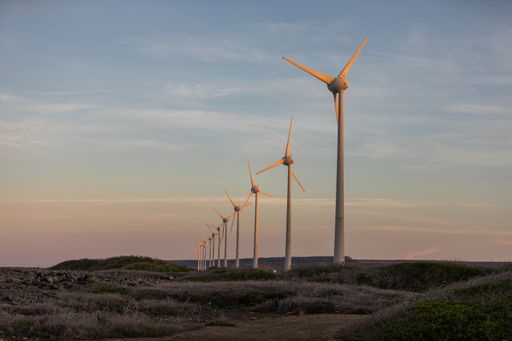 A low angle shot of windmills in the middle of a field during sunset in Bonaire, Caribbean