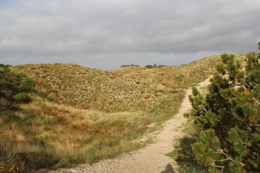A beautiful view of a road going through the deserted hills captured under the cloudy sky