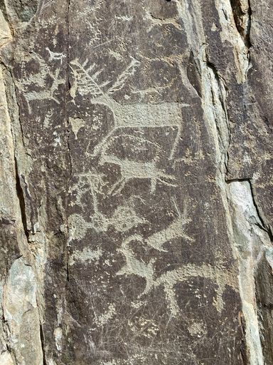 A vertical shot of old caveman drawings on a stone wall