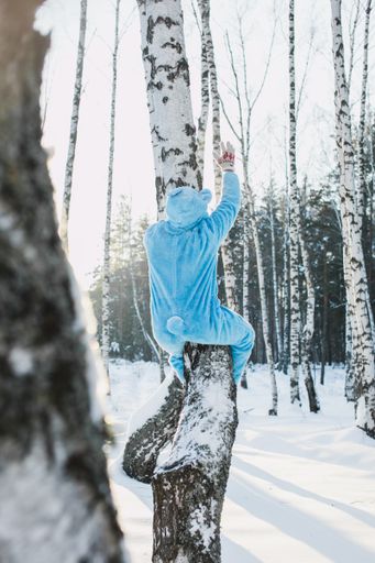 A vertical shot of a person in a fluffy blue costume climbing a bare birch tree in a forest in winter