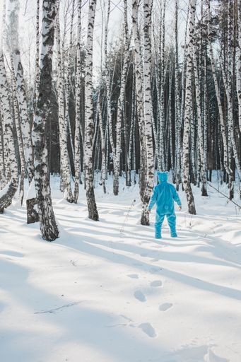 A vertical shot of a person in a blue fluffy costume walking in the snow in a forest like a bear