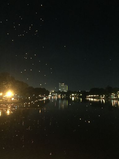 A view of fireflies flying a dark night in a  river with bright lights from a city