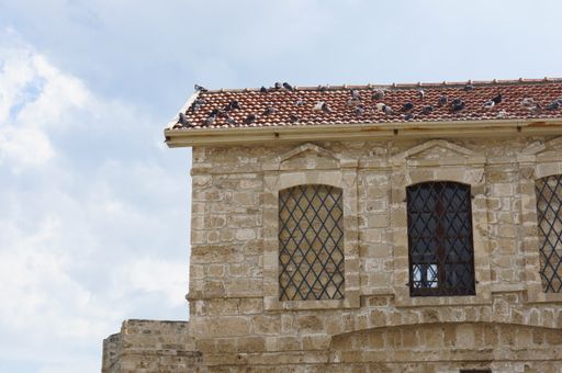 A low angle shot of The Medieval Castle of Larnaca with birds on the roof in Cyprus