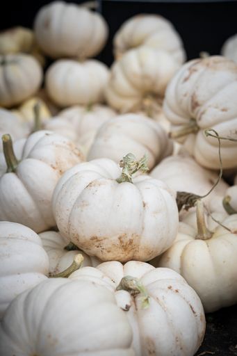 A vertical closeup shot of a lot of garlic in a market