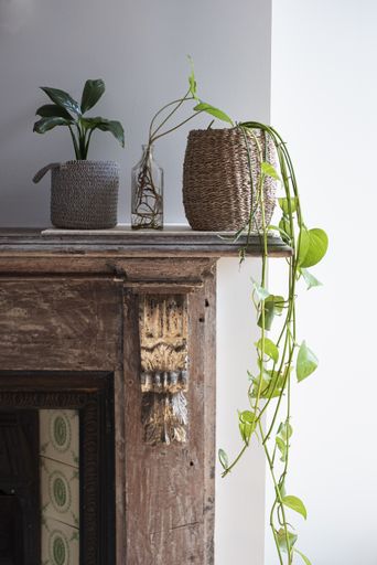 A vertical shot of indoor plants on a fireplace mantlepiece