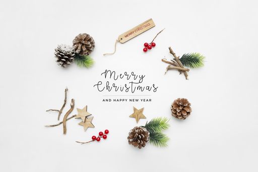 A top view of holly berry plants, fig branches, and pine cones with "Merry Christmas and Happy New Year" text isolated on a white background