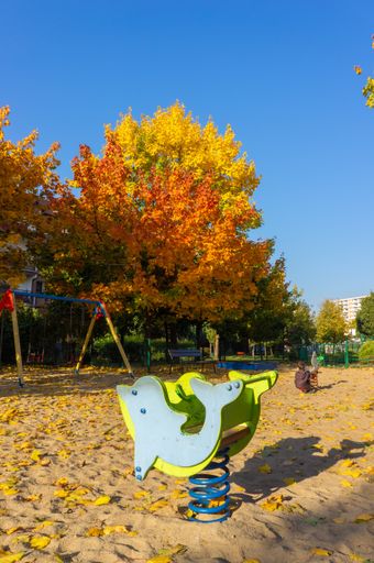A vertical shot of a dolphin spring swing  set on a sandy playground with autumn colors in Poznan, Poland