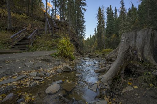 A beautiful shot of a stream in a forest in Hard Luck Canyon of Alberta, Canada