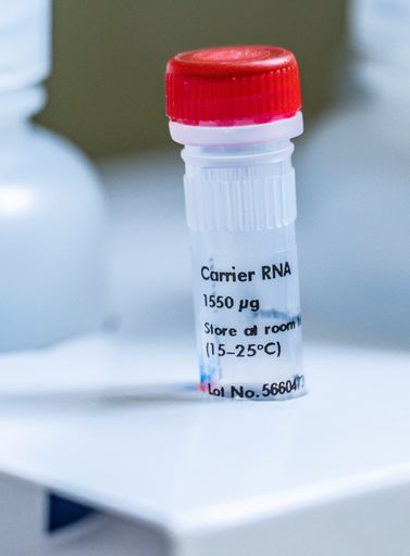 A vertical shot of a small container with molecular reagent carrier RNA in a lab