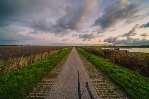 A beautiful shot of a rural landscape at sunset located in Zeeland, the Netherlands