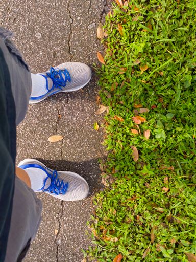 A vertical top view of someone standing at the edge of a grassy area wearing sneakers