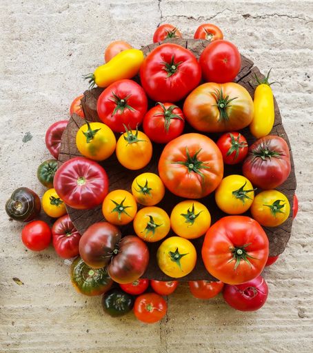 A high angle shot of red and yellow tomatoes
