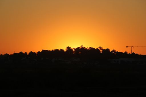 Golden sunset sky over the field with silhouetted trees