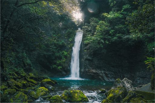 A beautiful view of a waterfall surrounded by plants and moss covered stone