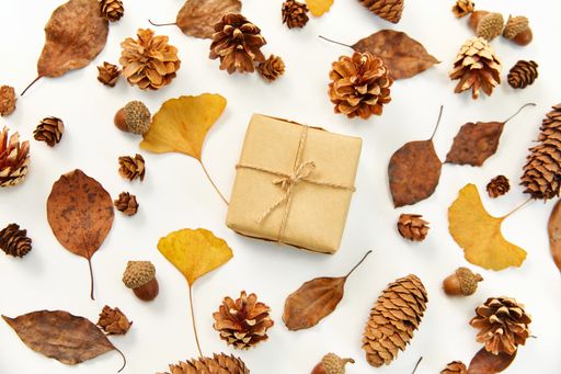 A top view of a gift in the middle of a wreath made of autumn leaves and conifer cones on white background