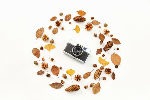 A top view of a camera in the middle of a wreath made of autumn leaves and conifer cones on white background