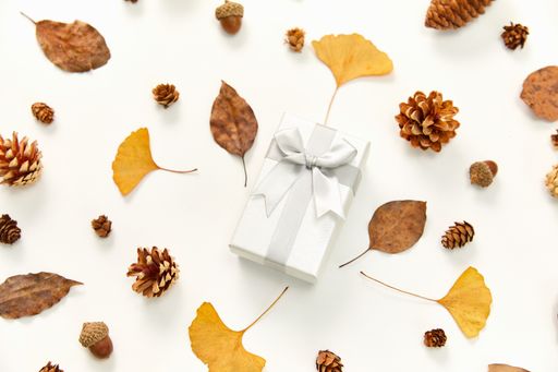A top view of a gift in the middle of a wreath made of autumn leaves and conifer cones on white background