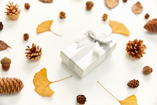 A top view of a gift in the middle of a wreath made of autumn leaves and conifer cones on white background