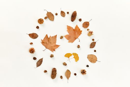A top view of a wreath made of autumn leaves and conifer cones on white background
