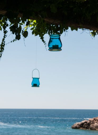 A vertical shot of lamps hanging from a tree at the beach