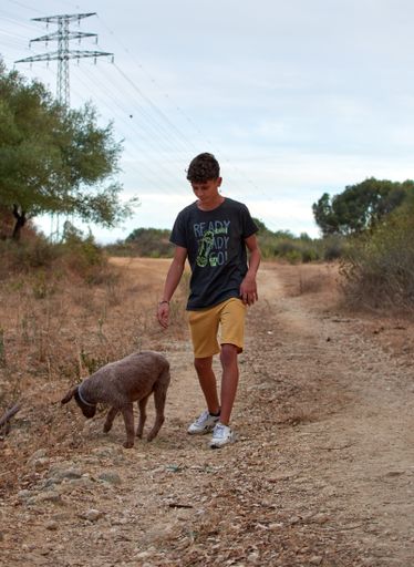 A shallow focus shot of a young boy walking with his dog