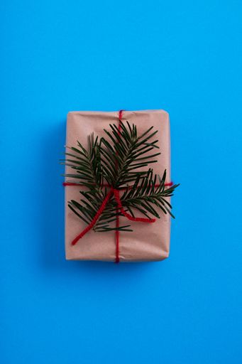 A gift box with a red ribbon and fir tree branch in the blue background
