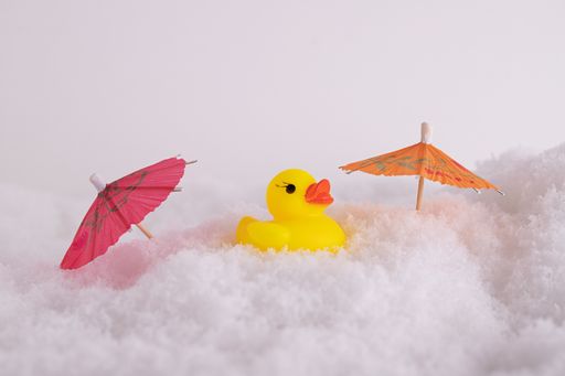 A closeup of a funny rubber duck and colorful paper cocktail umbrellas in the snow